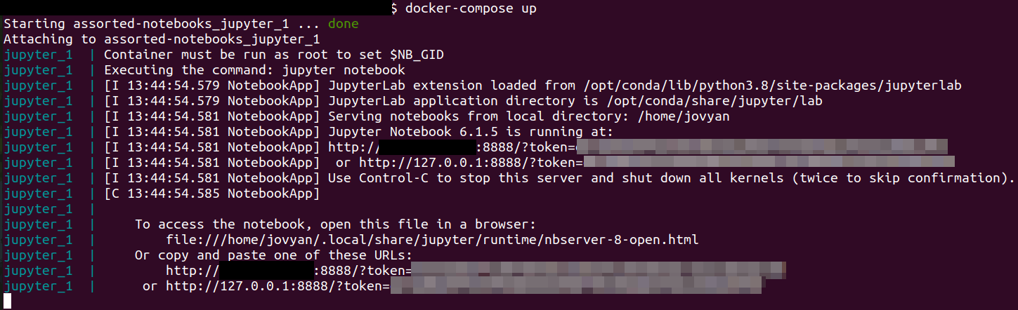 Terminal screen showing the output of starting the Jupyter container.